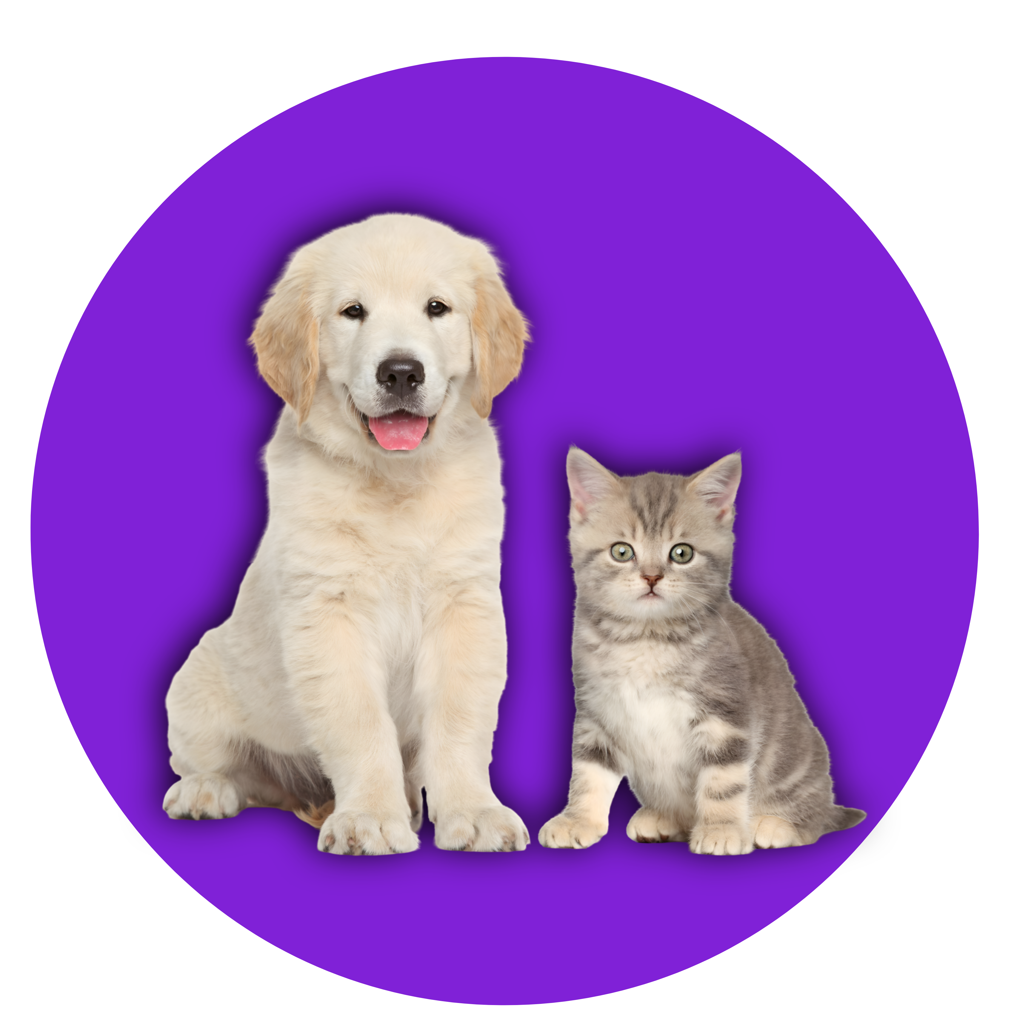 Pet Supplies